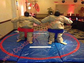 sumo suits-adults